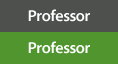Professor