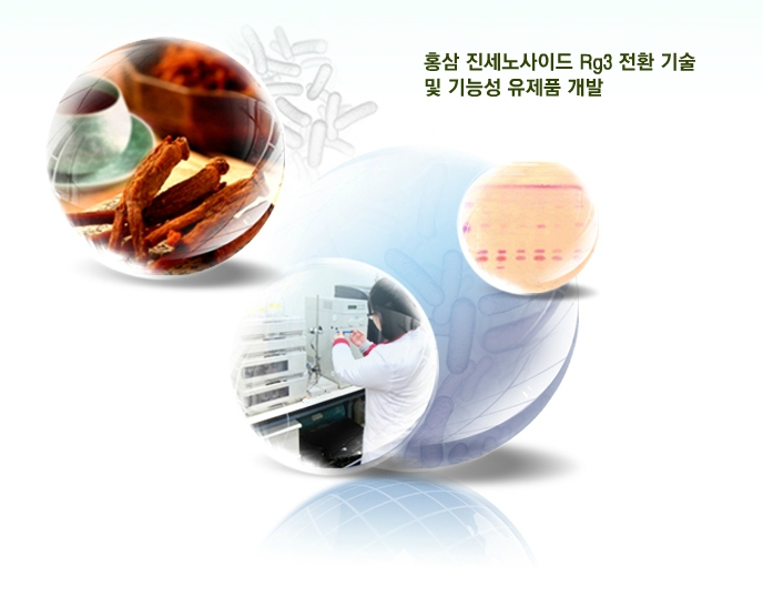 홍삼 진세노사이드 Rg3 전환 기술 및 기능성 유제품 개발