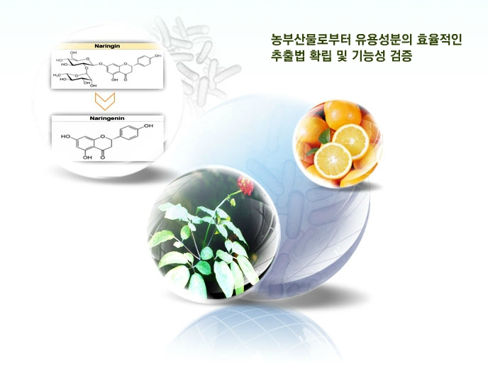 농부산물로부터 유용성분의 효율적인 추출법 확립 및 기능성 검증